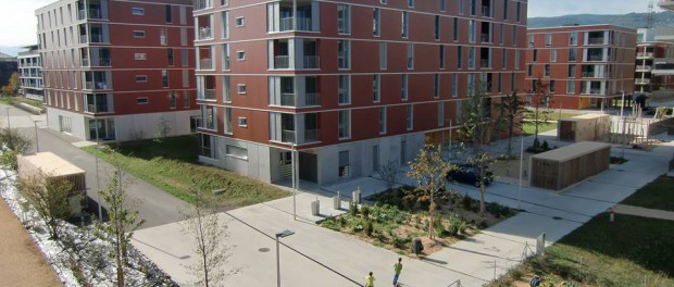Eikenott